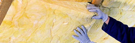 quotes for Lady Green roof insulation